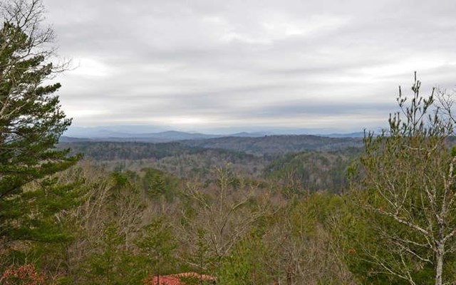 110 Down Yonder Rd, Morganton, GA 30560 photo 11