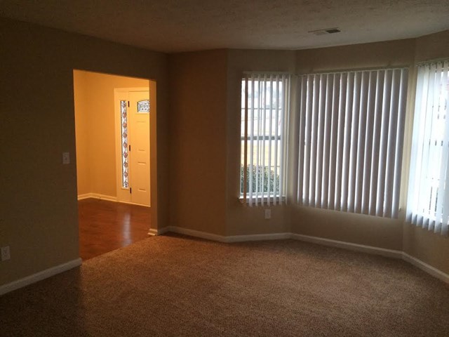 1362 Pebble Beach Ln, Hampton, GA 30228 photo 5