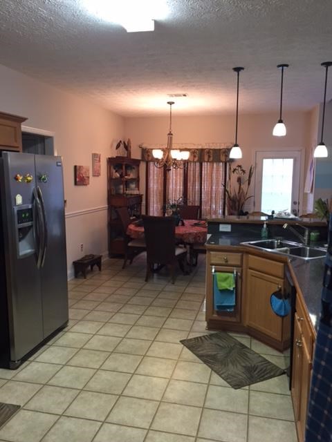 529 Bethelview Dr, Hampton, GA 30228 photo 12