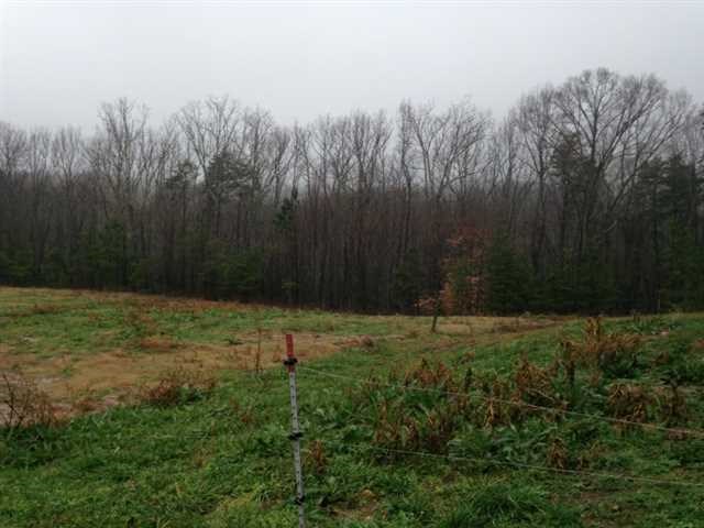 1284 Pendley Cir, Jasper, GA 30143 photo 4