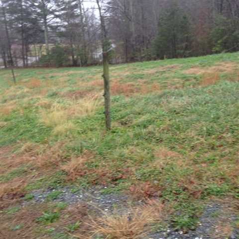 1284 Pendley Cir, Jasper, GA 30143 photo 5