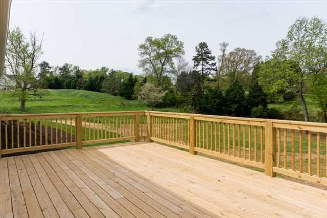 205 Trinity Way, Canton, GA 30115 photo 24