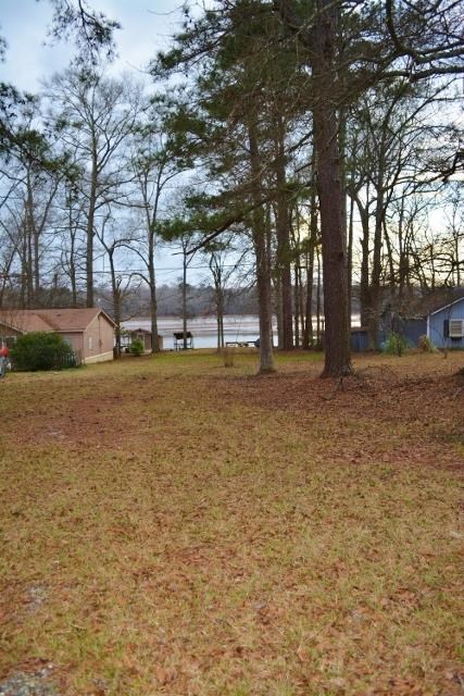 161 Weavers Lakefront Rd, Jackson, GA 30233 photo 12