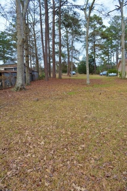 161 Weavers Lakefront Rd, Jackson, GA 30233 photo 11