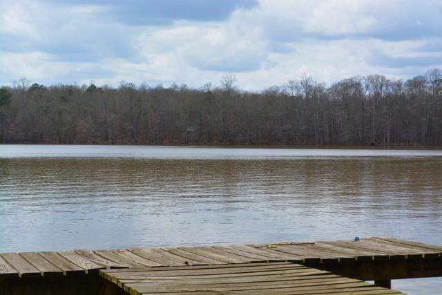 161 Weavers Lakefront Rd, Jackson, GA 30233 photo 6