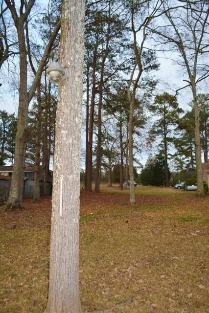 161 Weavers Lakefront Rd, Jackson, GA 30233 photo 10