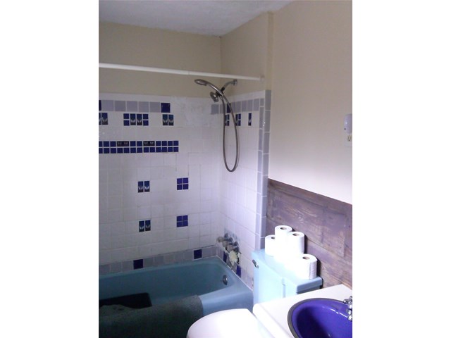 300 Iris Dr, Demorest, GA 30535 photo 5