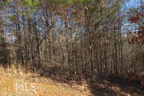 169 Rock Creek Trl, Toccoa, GA 30577 photo 6