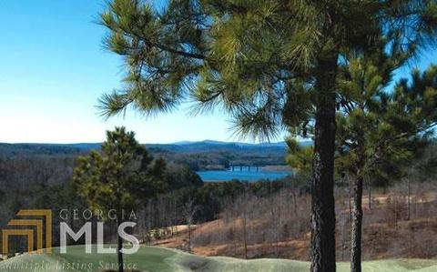 169 Rock Creek Trl, Toccoa, GA 30577 photo 18