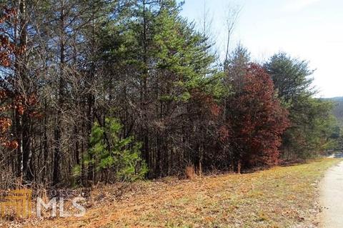 169 Rock Creek Trl, Toccoa, GA 30577 photo 7