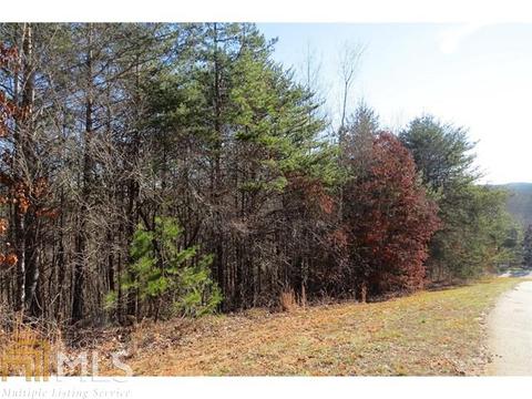 169 Rock Creek Trl, Toccoa, GA 30577 photo 3