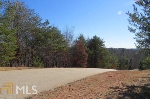 169 Rock Creek Trl, Toccoa, GA 30577 photo 5