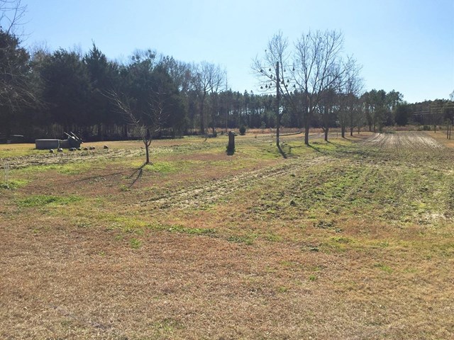 331 Bud Jordan Rd, Lyons, GA 30436 photo 2