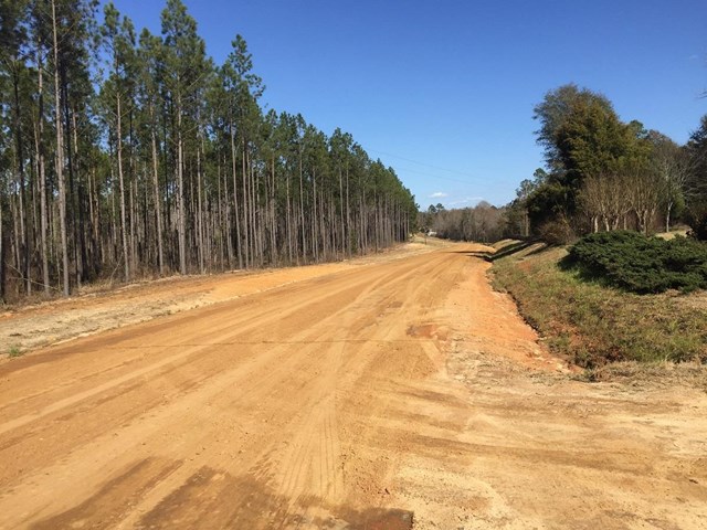 331 Bud Jordan Rd, Lyons, GA 30436 photo 3