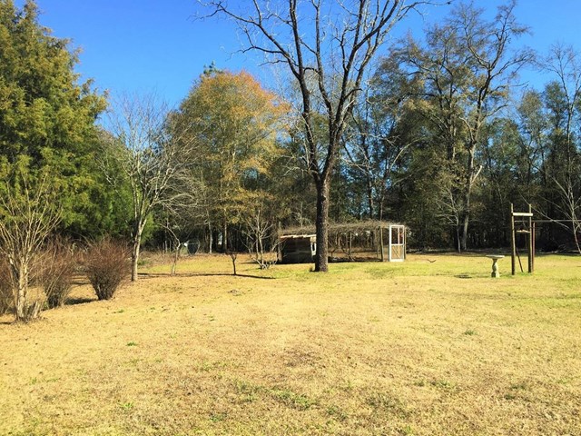 331 Bud Jordan Rd, Lyons, GA 30436 photo 7