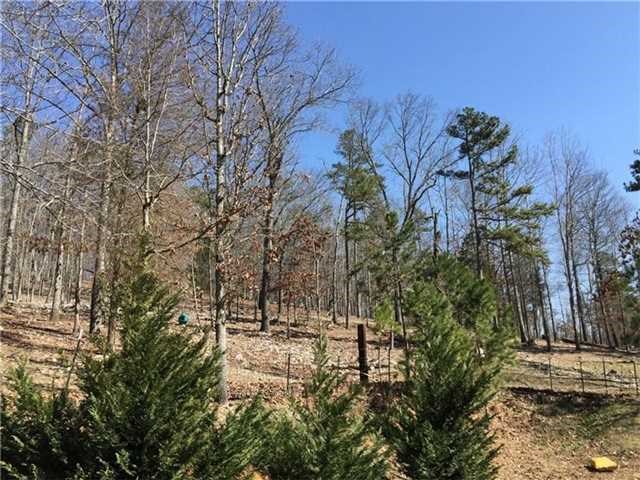 159 Mcstotts Rd, Kingston, GA 30145 photo 21