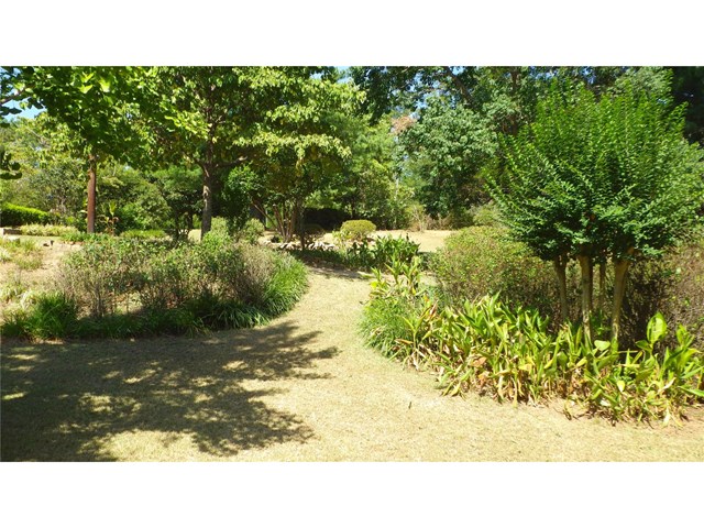 206 Tucker Rd, Byron, GA 31008 photo 22