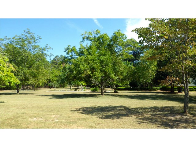 206 Tucker Rd, Byron, GA 31008 photo 20