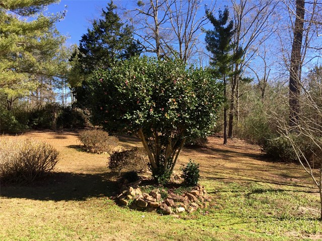 206 Tucker Rd, Byron, GA 31008 photo 18