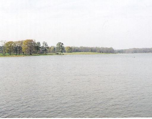 35 S Waters Edge Dr, Covington, GA 30014 photo 7