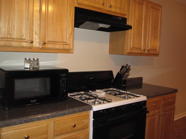 335 Spring Lake Ter, Covington, GA 30016 photo 11