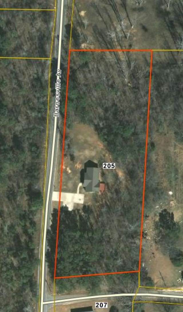 205 Barnesville Ave, Barnesville, GA 30204 photo 25
