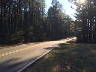 6593 Smithfield Rd, Bowdon, GA 30108 photo 3