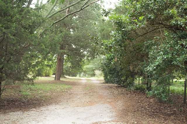 139 Cedar Ln, Covington, GA 30014 photo 24