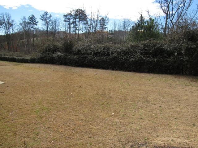 4160 Davis Rd, Buford, GA 30518 photo 24