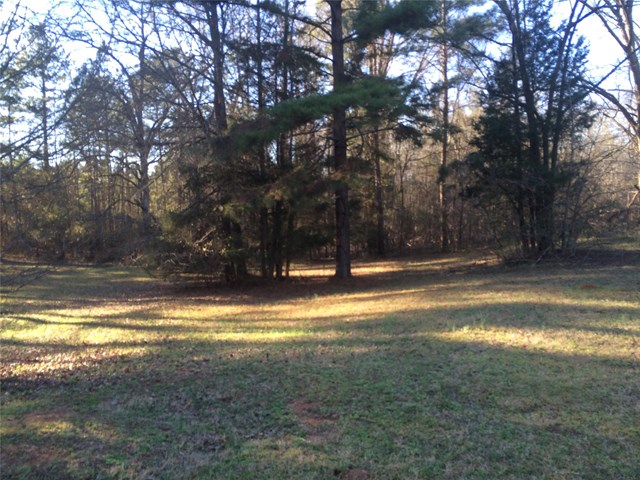 680 Moccasin Gap Rd, Jackson, GA 30233 photo 15