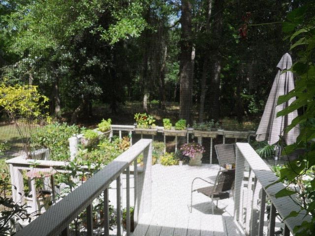 319 Regency Cir, Dublin, GA 31021 photo 8