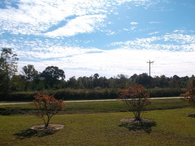 26 Robert Coleman Rd, Collins, GA 30421 photo 6
