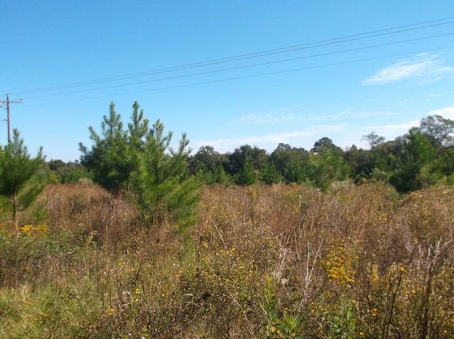 26 Robert Coleman Rd, Collins, GA 30421 photo 23