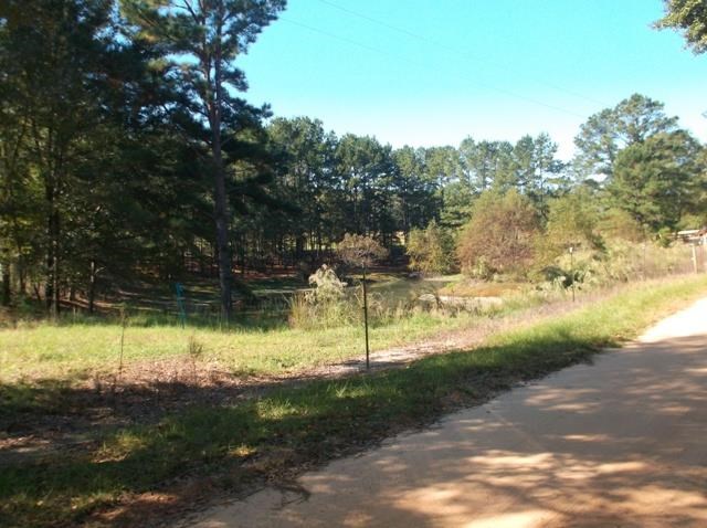 26 Robert Coleman Rd, Collins, GA 30421 photo 10