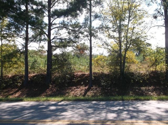 26 Robert Coleman Rd, Collins, GA 30421 photo 9