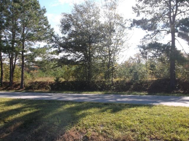 26 Robert Coleman Rd, Collins, GA 30421 photo 7