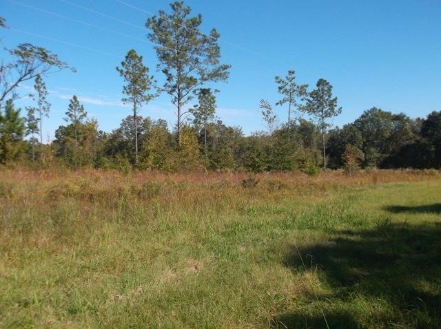 26 Robert Coleman Rd, Collins, GA 30421 photo 8