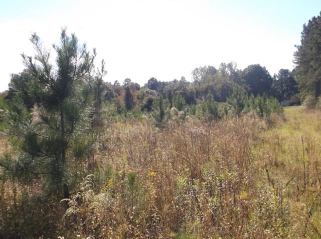 26 Robert Coleman Rd, Collins, GA 30421 photo 24
