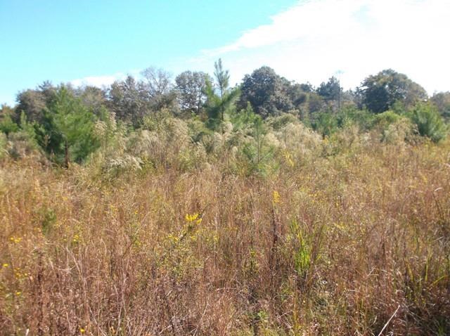 26 Robert Coleman Rd, Collins, GA 30421 photo 14