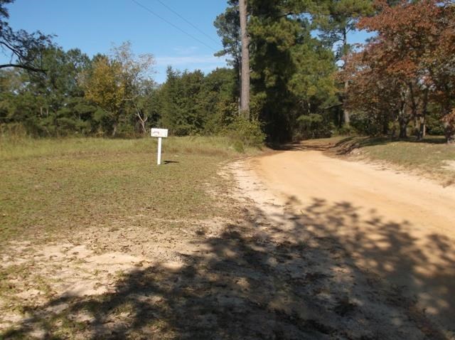 26 Robert Coleman Rd, Collins, GA 30421 photo 5