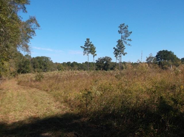 26 Robert Coleman Rd, Collins, GA 30421 photo 11