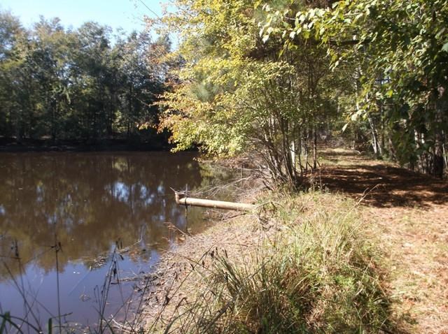26 Robert Coleman Rd, Collins, GA 30421 photo 17