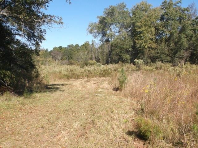 26 Robert Coleman Rd, Collins, GA 30421 photo 19