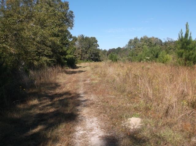 26 Robert Coleman Rd, Collins, GA 30421 photo 15