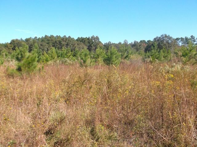 26 Robert Coleman Rd, Collins, GA 30421 photo 13