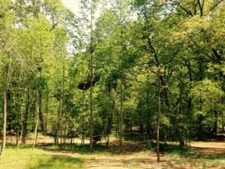 4200 Pea Ridge Rd, Cornelia, GA 30531 photo 3