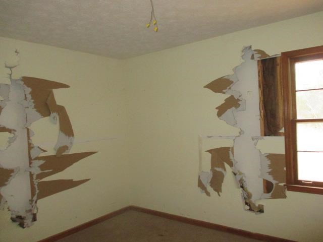 580 White Rd, Covington, GA 30016 photo 7