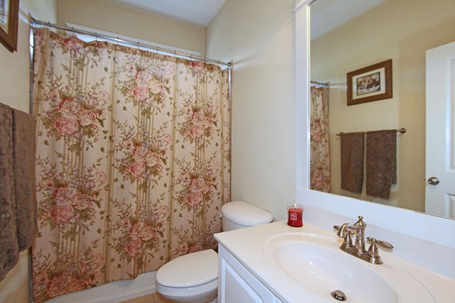 222 Pine Bluff Dr, Dallas, GA 30157 photo 18