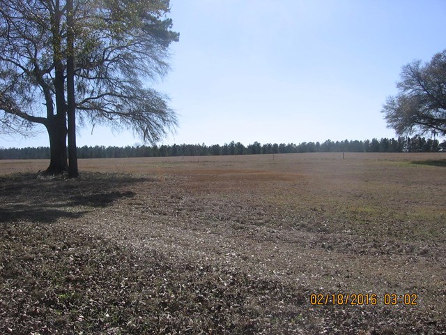 1049 Mill Creek Rd, Bartow, GA 30413 photo 7