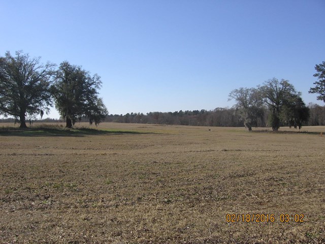 1049 Mill Creek Rd, Bartow, GA 30413 photo 6